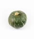 Cucurbita