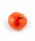 Cucurbita