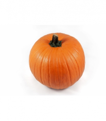 Cucurbita