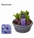 Hyacinthus